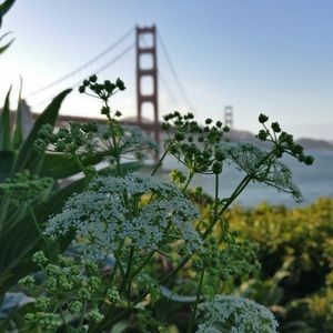 Meet your Posher, Trisha